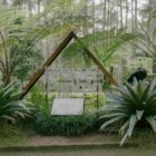 Photo by Ardya Maharani on Pexels