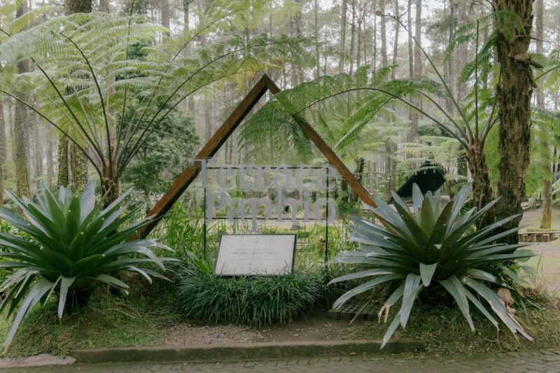 Photo by Ardya Maharani on Pexels